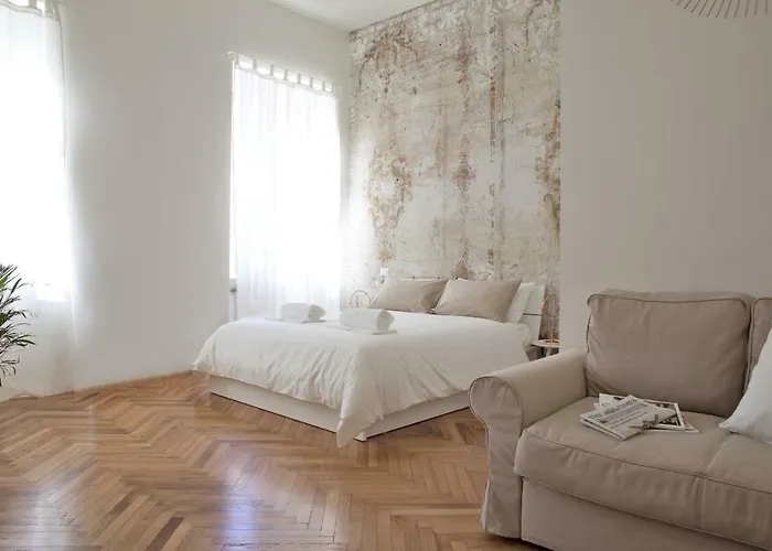 Rapanus Suites
