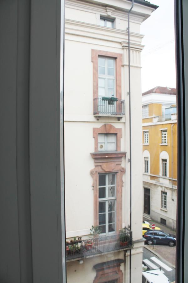 Rapanus Turin